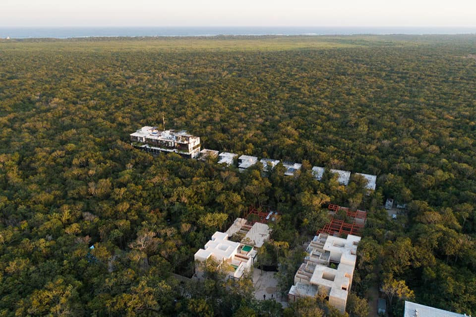 jungle land mayan riviera